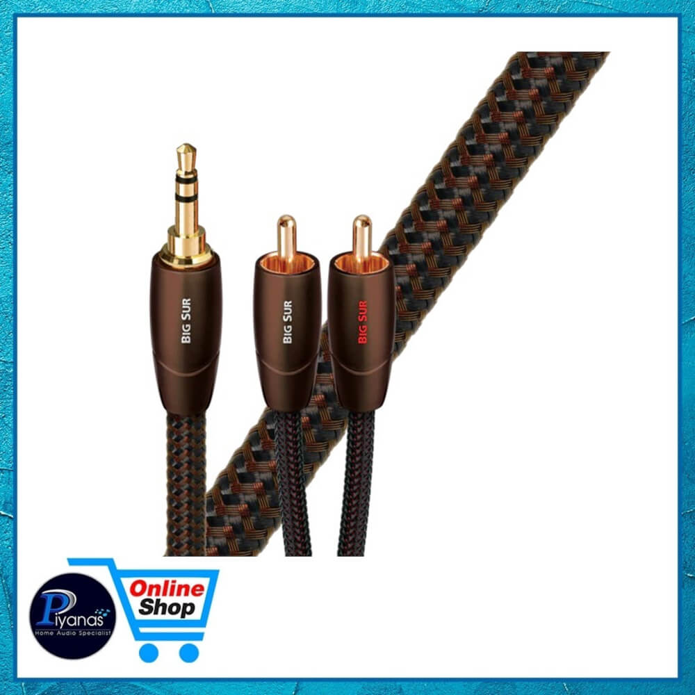 สายสัญญาณอนาล็อก AUDIOQUEST : BIG SUR (MINI TO RCA) (1.0M)
